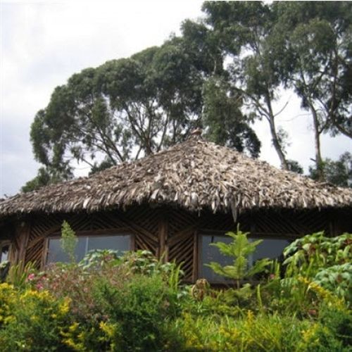 Mount Kilimanjaro View Lodge Moshi Exterior foto