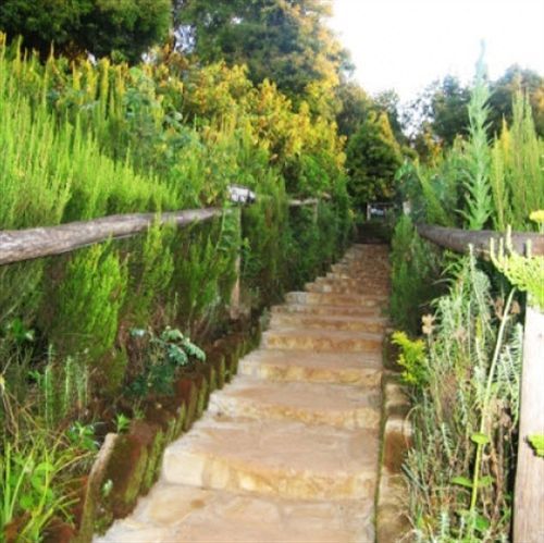 Mount Kilimanjaro View Lodge Moshi Exterior foto
